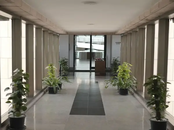 Chief Growth and Marketing Officer Programme Overview